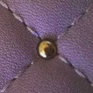 Meet your Posher, Jes